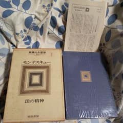 モンテスキュー 法の精神 世界の大思想 16 モンテスキュー 法の精神 世界の大思想 16 - メルカリ