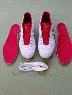 【値下げあり】ASICS DS LIGHT 28.0cm TSI754のサムネイル