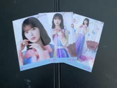 乃木坂46 生写真 岩本蓮加 結成15周年記念 真夏の全国ツアー コンプ