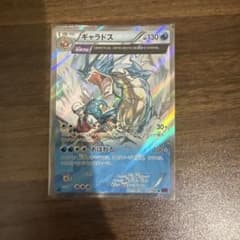 ギャラドス R XY 拡張パック「バンデットリング」 キラ 021/081のサムネイル