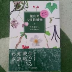 値引き無し。里山のつる性植物のサムネイル