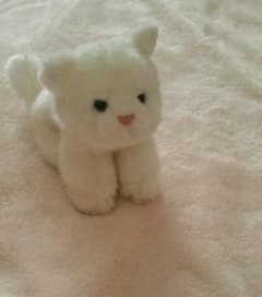 お値下げにゃん♥マシュマロキャット♥のサムネイル