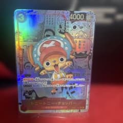 ONE PIECE 토니토니·초퍼 카드 관상용 전시용