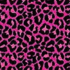 専用のサムネイル