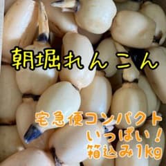 朝堀れんこん1kgのサムネイル