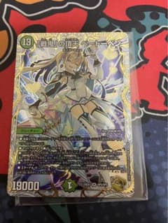 戦鬼の頂天ベートーベン  金トレのサムネイル