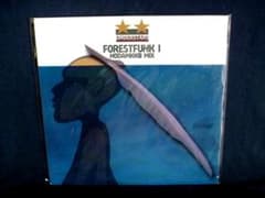 未使用 under stars - forest funk / レコード