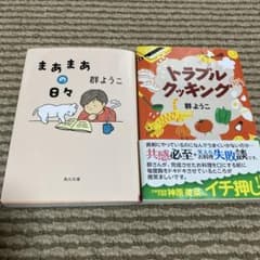 まぁまぁの日々 トラブルクッキング 群ようこ 2冊セットのサムネイル