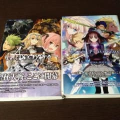 Fate 関連本2冊セットのサムネイル