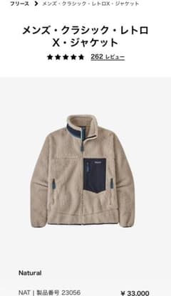 【Patagonia】レトロX   Lサイズのサムネイル