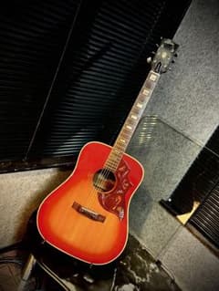 Aria WH-25 ジャパンヴィンテージ ハミングバード アコギ - メルカリ