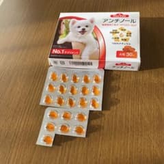 アンチノール　２２粒のサムネイル