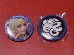 CANDY TUNE A賞 宮野静　ボイス入りアクリルパネル　缶バッジ付き すきくじ Candy Tune 宮野静A賞ボイス入りアクリルパネル、B賞アクスタ