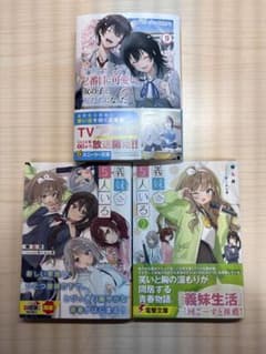 ラノベまとめ売り4 - メルカリ