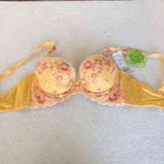 新品トリンプブラジャーのサムネイル