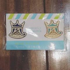 嵐 君と僕の見ている風景 会場限定 ピンバッジのサムネイル