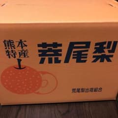 梨　新高のサムネイル