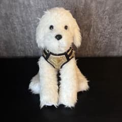 PRADA Re-Nylon クリスタルスタッズ サテン ドッグハーネス PRADA Re-Nylon クリスタルスタッズ サテン ドッグハーネス - メルカリ
