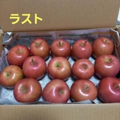 青森県産りんご　早生ふじのサムネイル