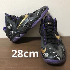 NIKE LEBRON XI BHM レブロン 11 バッシュ 28cm - メルカリ