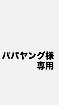 ファイヤー&サンダー&フリーザーGX HR SM10b スカイレジェンド 06