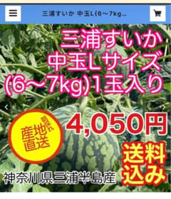 神奈川県三浦半島産の大玉スイカ！！のサムネイル
