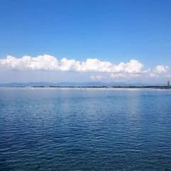【Matayoshi様専用】のサムネイル