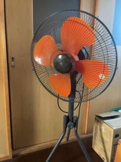 m51831736371_1.jpg?1712214759