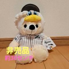 ご当地ベア　マーくんぬいぐるみ　S　千葉ロッテマリーンズ リゾート テーマパーク グッズのリーディングカンパニー 株式