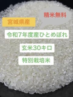 令和7年産 特別栽培米 宮城県ひとめぼれ 玄米30kg 送料無料 精米無料