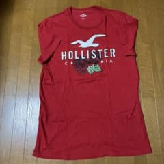 ホリスターTシャツ　Ｌのサムネイル
