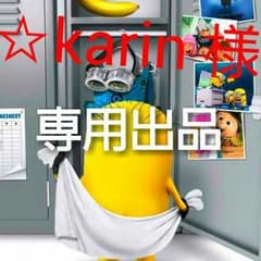 ☆karin 様専用出品のサムネイル