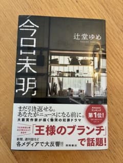 今日未明 辻堂ゆめのサムネイル