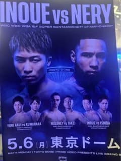 井上尚弥　5月6日東京ドーム　パンフレット&新聞のサムネイル