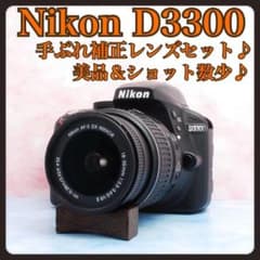 ニコン D3300☆一眼レフカメラ☆美品＆ショット数少☆ケース付