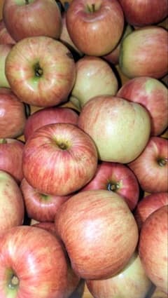 山形県産　りんご　つがる　5kg 自家用向きのサムネイル