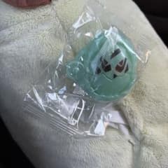 カメレオンシードエグズのサムネイル