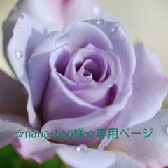 ☆nana-boo様☆専用ページ です☆のサムネイル