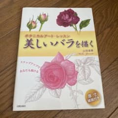 美しいバラを描く : ステップアップであなたも描けるのサムネイル
