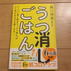 うつ消しごはん タンパク質と鉄をたっぷり摂れば心と体はみるみる軽くなる!のサムネイル