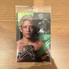 YOSHINORI HORIE プロフィールカード No.30のサムネイル