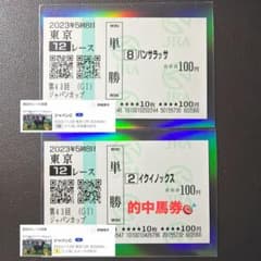 第43回ジャパンカップ 引退レース馬券 イクイノックス パンサラッサ 2枚セットのサムネイル