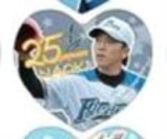 北海道日本ハムファイターズ ハート型応援タオル宮西尚生投手25 - メルカリ