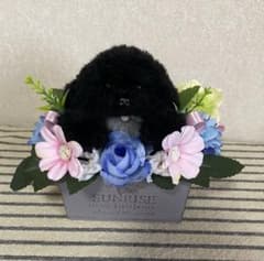 動物ぽんぽん　くぅ様専用のサムネイル
