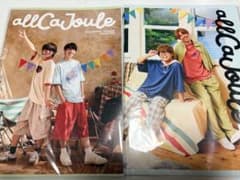 スカイピース パンフレット allCaJouleのサムネイル