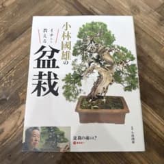 小林國雄のイチから教える盆栽のサムネイル