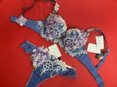 サルート 49グループ モロッコナズナ D65&ソングM BU 店舗限定 - メルカリ