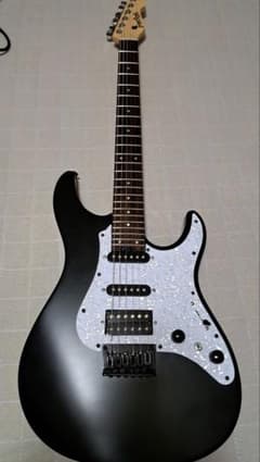 グラスルーツ Grassroots G-SN-45DX Black satin GrassRoots G-SNAPPER-DX BKS (Black Satin)｜ミュージックランドKEY