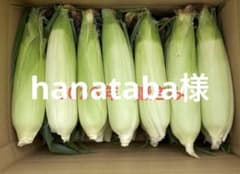 青森県産　嶽きみ　20本のサムネイル
