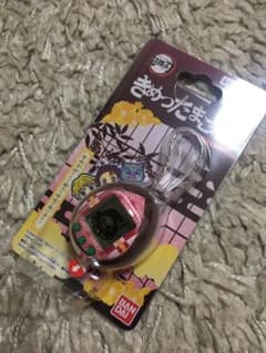 きめつたまごっち　ねずこっちカラーのサムネイル